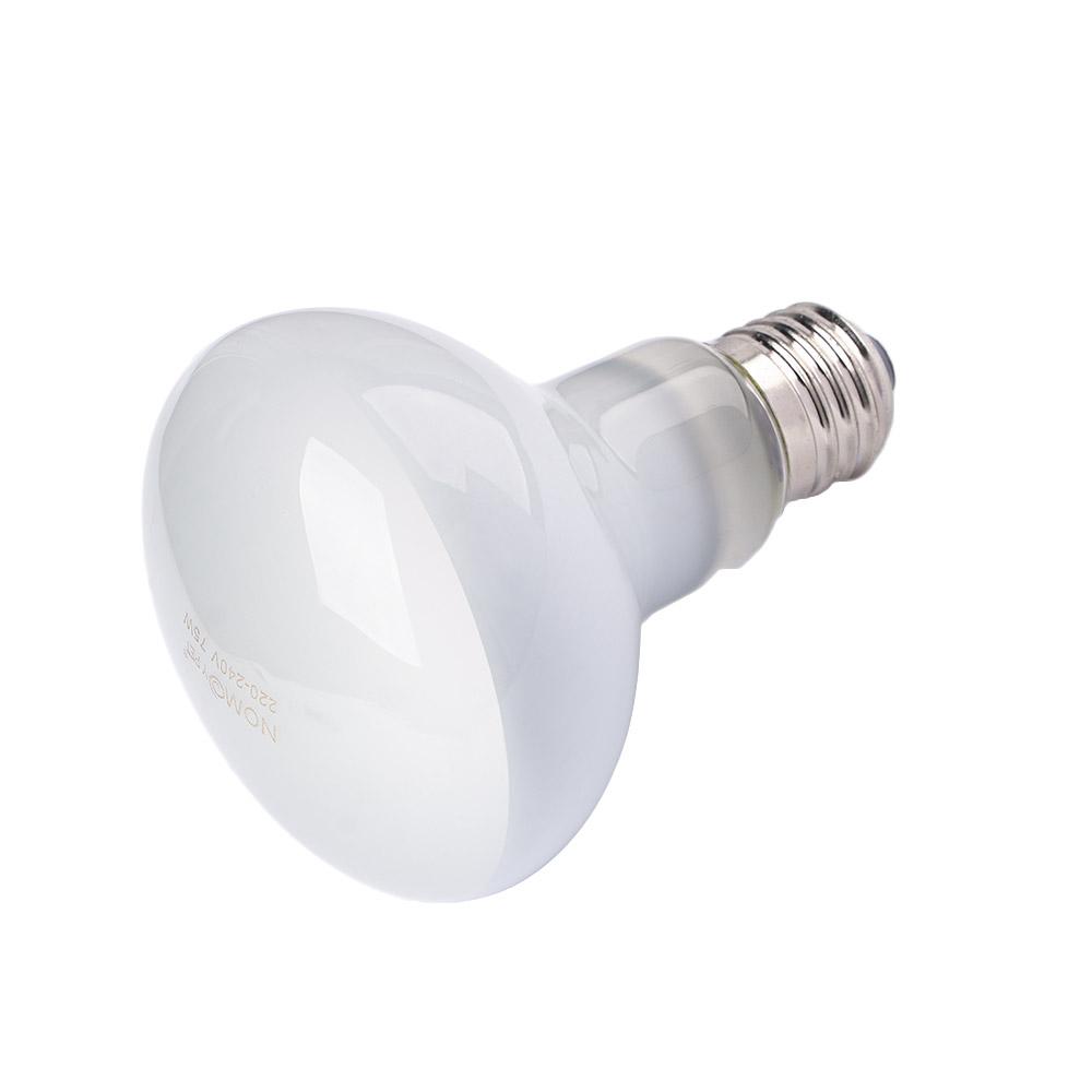 Basking Bulb Halogen - جهاز تحكم في درجة حرارة السخان