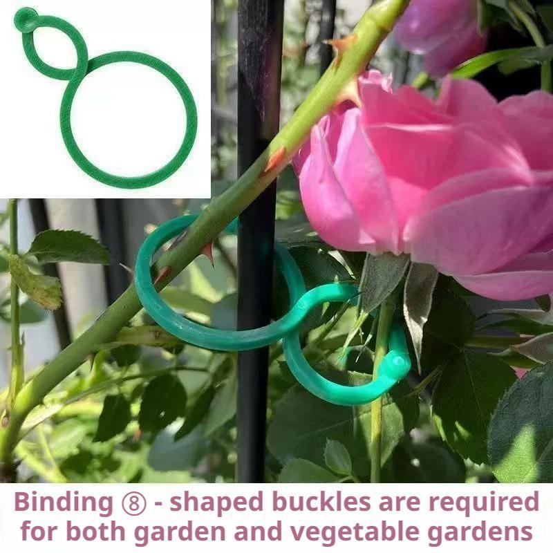 Vine Climbing Plastic - 100 قطعة من مشابك دعم النباتات،