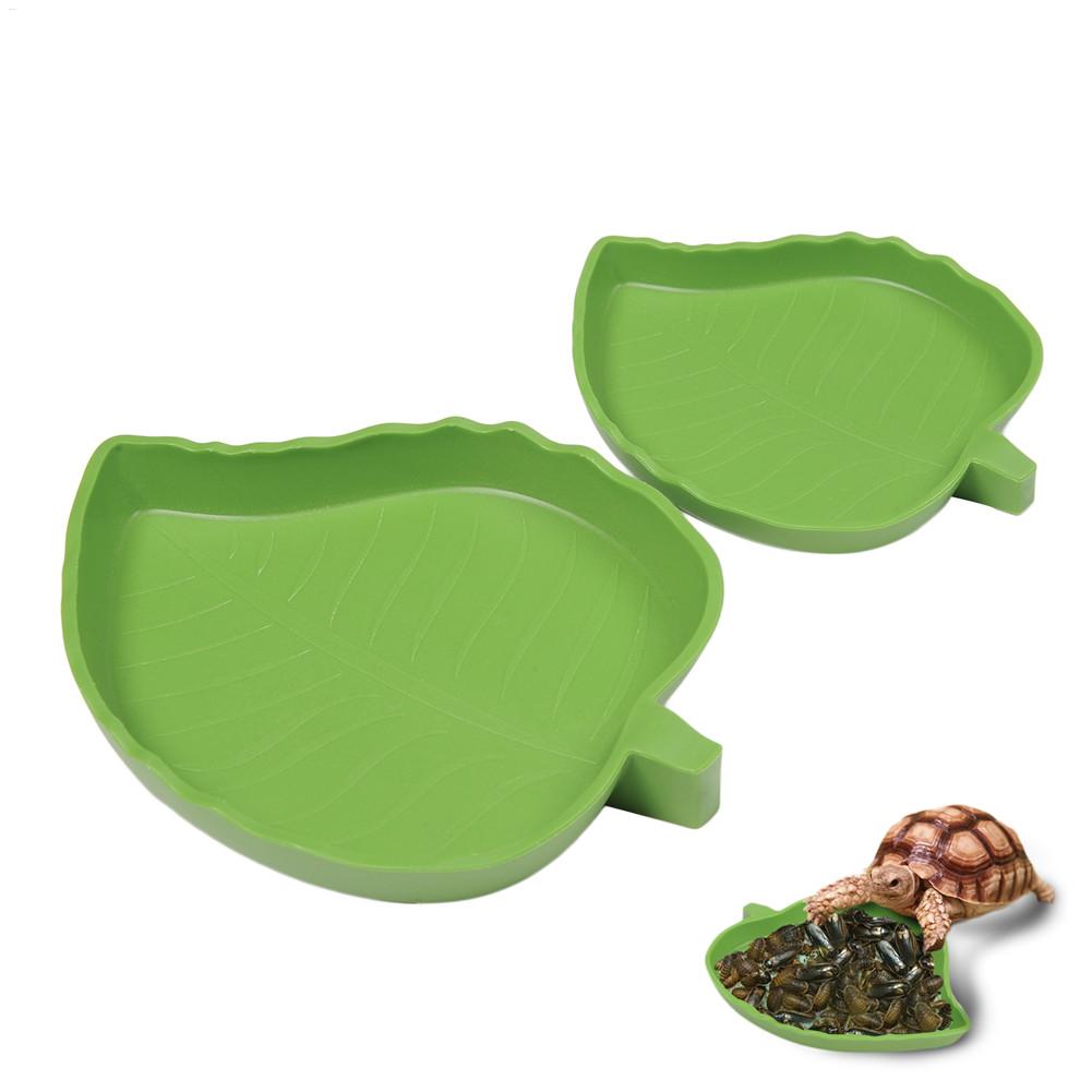 Water Dish Reptile - البرمائيات الزواحف المغذية البلاستيك الزواحف تررم