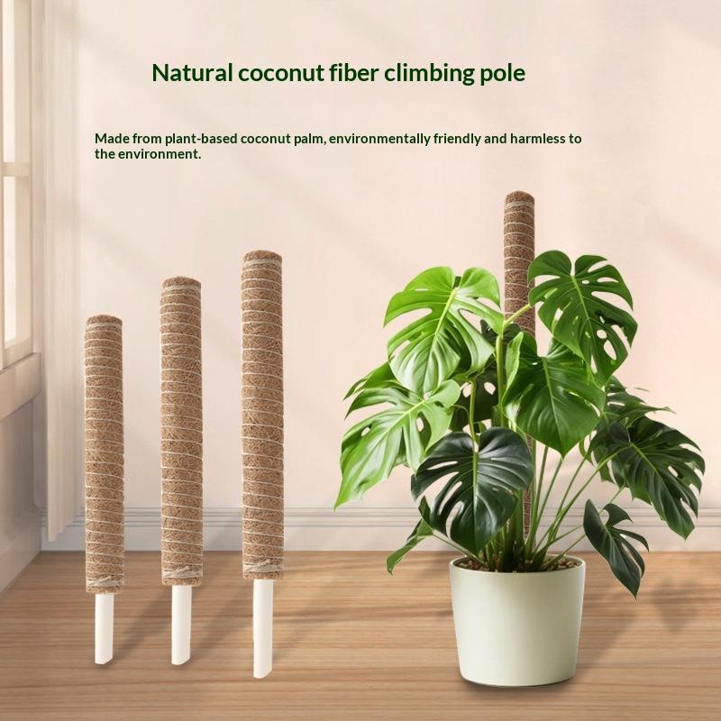 Vine Climbing Plastic - قضيب دعم نمو النباتات (قطعة واحدة)