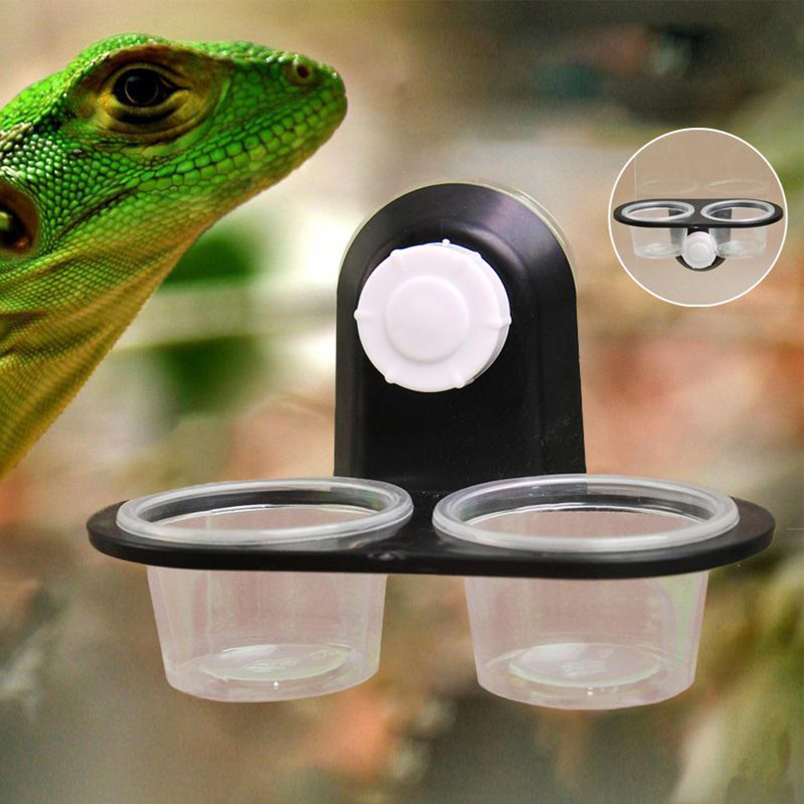 Water Dish Reptile - وعاء طعام للجيكو مع أكواب تغذية،