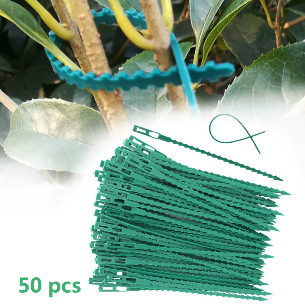 Vine Climbing Plastic - 50 قطعة من مشابك النباتات البلاستيكية