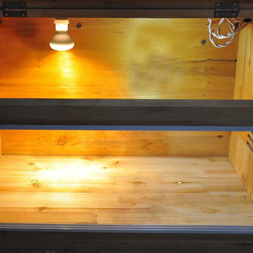 Basking Bulb Halogen - جهاز تحكم في درجة حرارة السخان