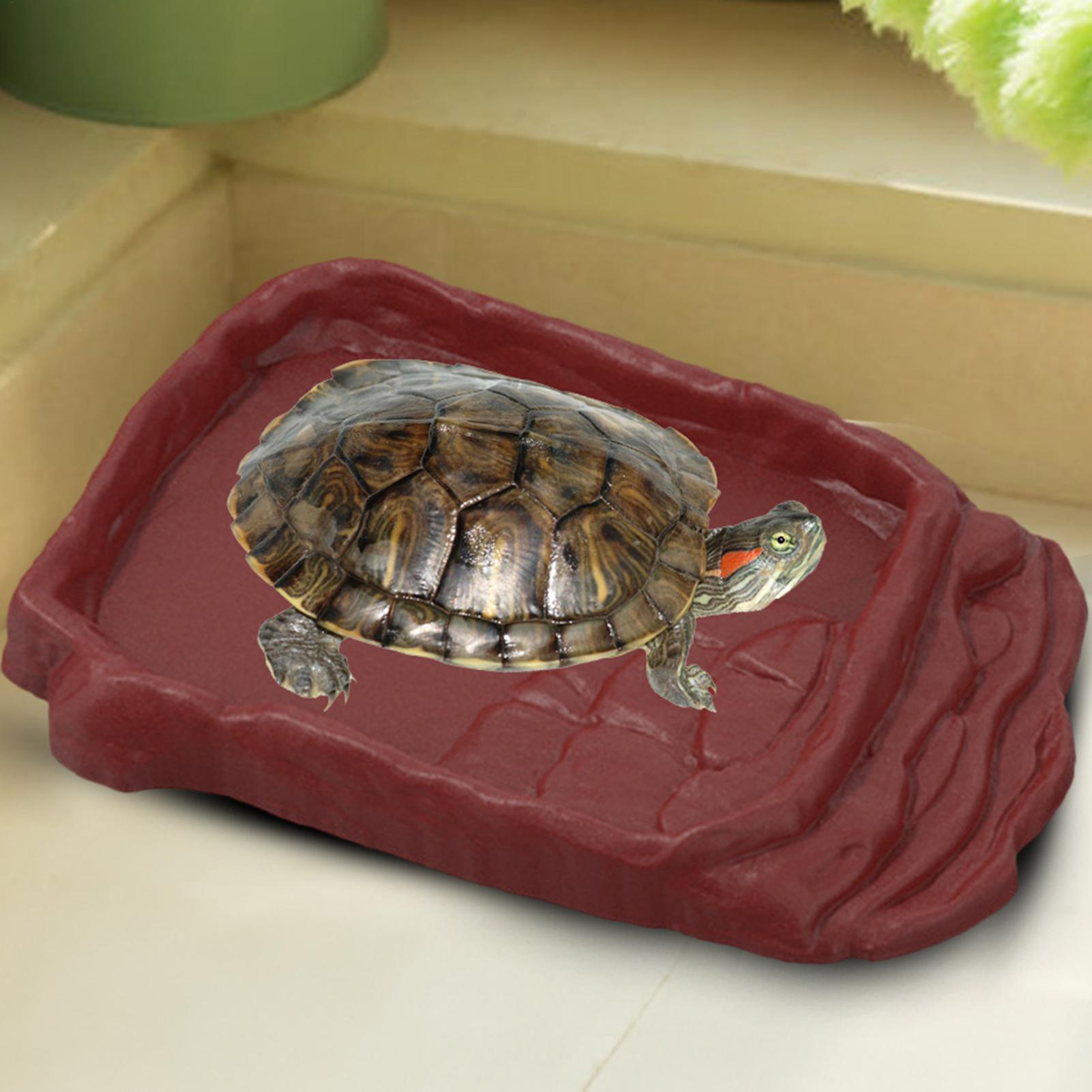 Water Dish Reptile - حوض استحمام للسلاحف، وعاء ماء، سلالم