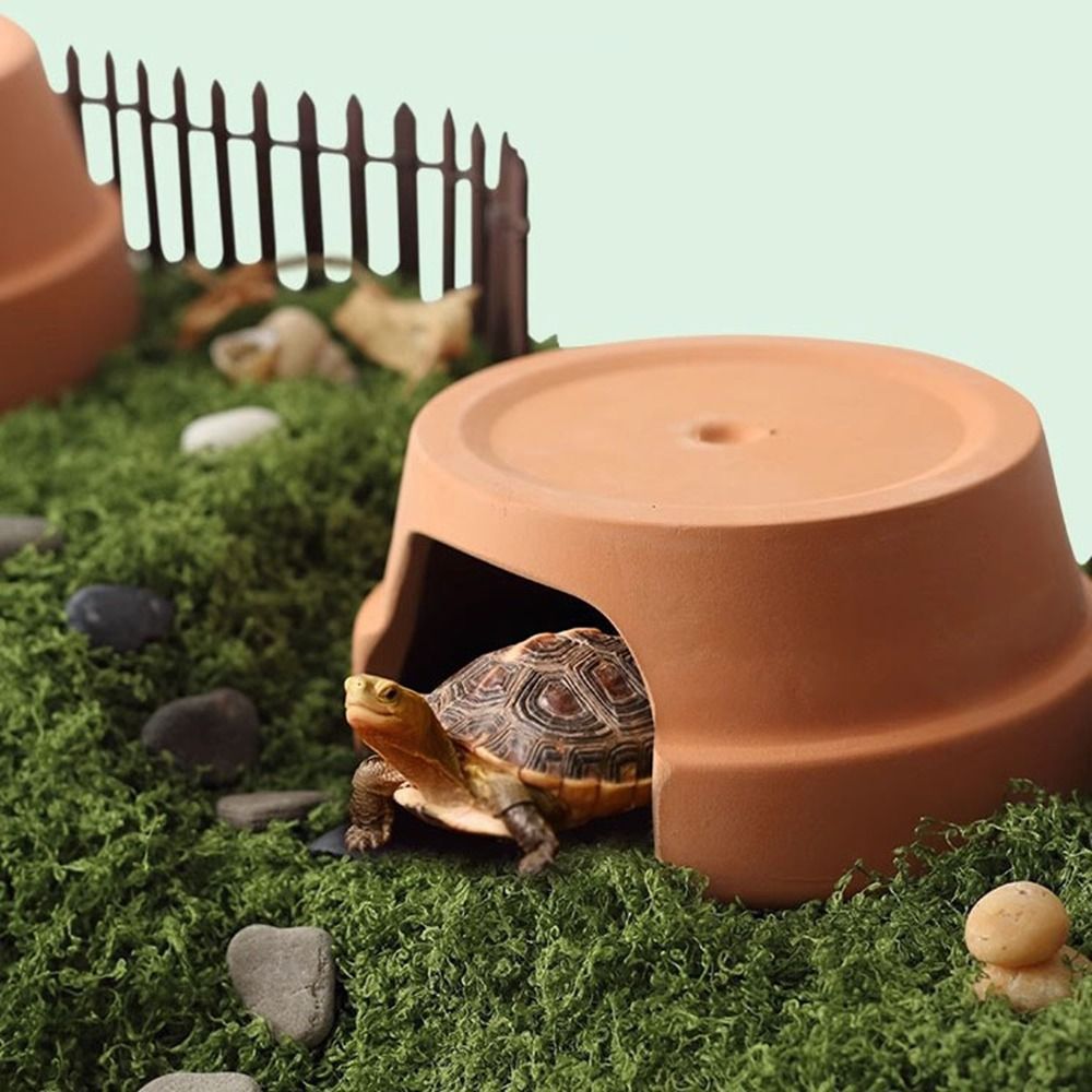 صندوق إخفاء متعدد الوظائف للزو - مراجعة Hide Cave Ceramic وسعره