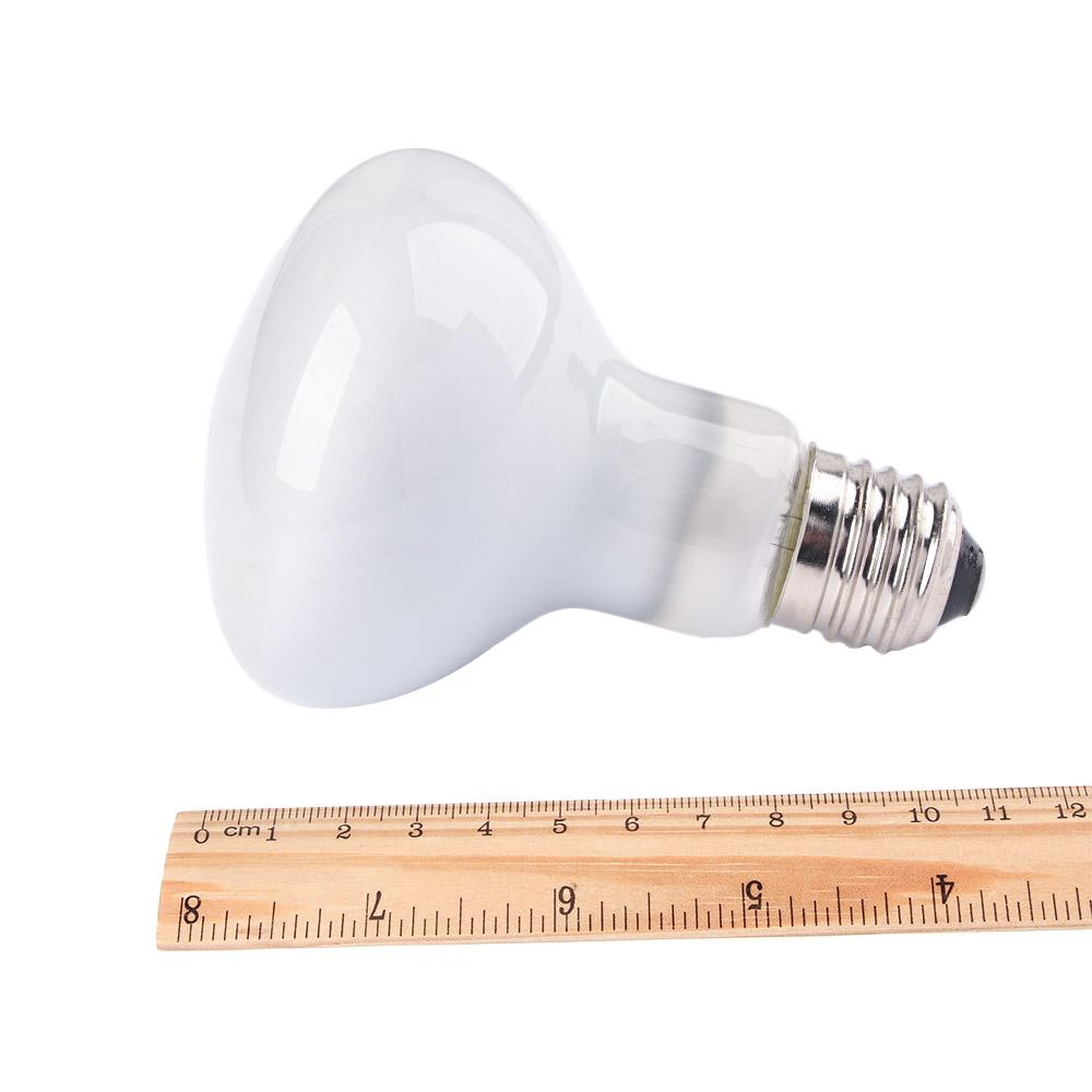 مصباح حراري للزواحف، إضاءة UVA - مراجعة Basking Bulb Halogen وسعره