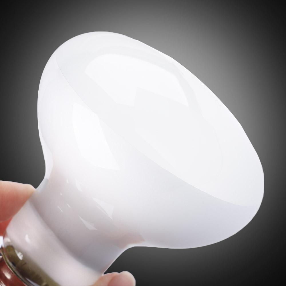 جهاز تحكم في درجة حرارة السخان - مراجعة Basking Bulb Halogen وسعره