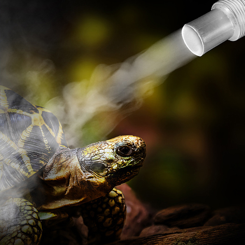 4L الزواحف مرابي المرطب مبيد م - مراجعة Terrarium Fogger Ultrasonic وسعره