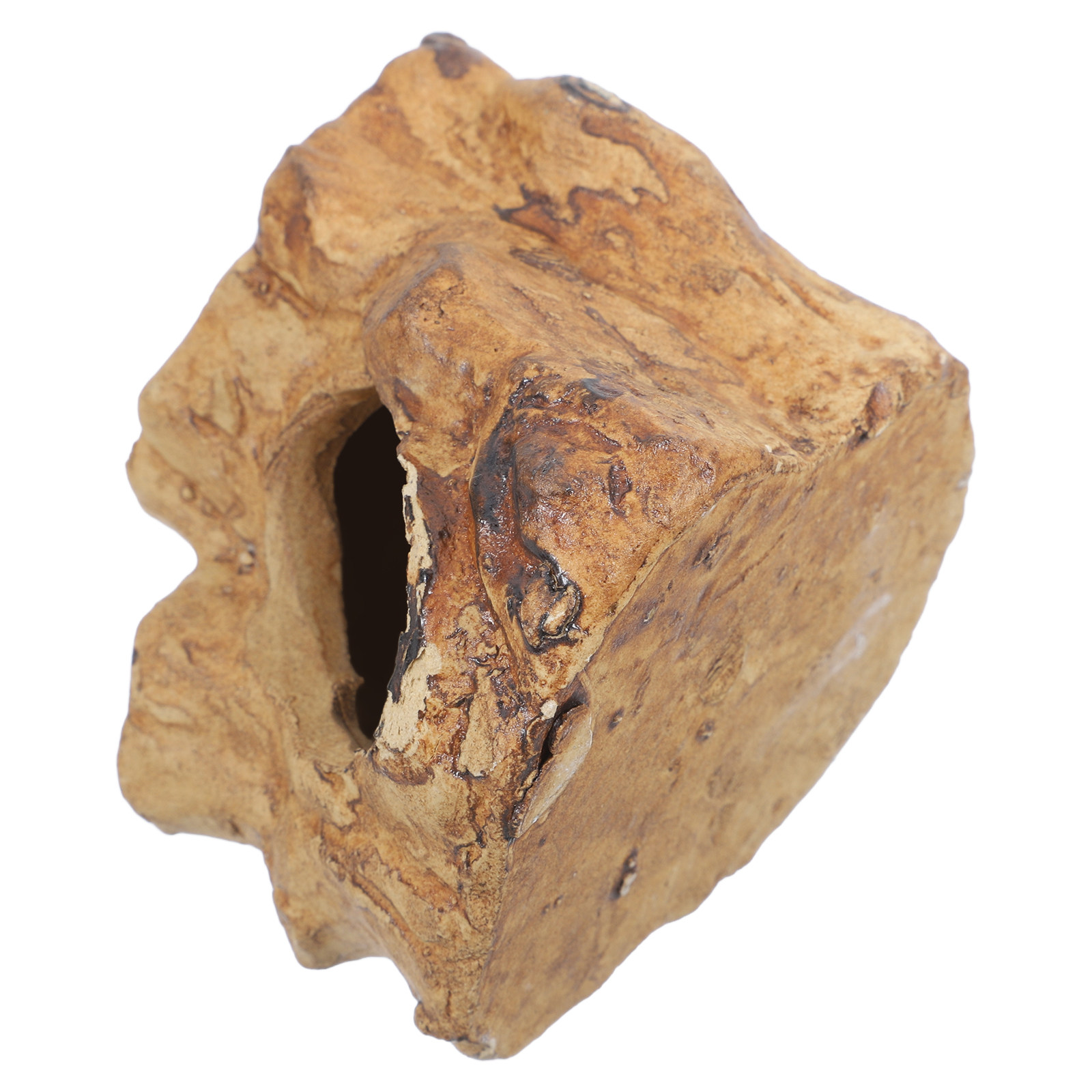 ديكورات حوض السمك من السيراميك - مراجعة Hide Cave Ceramic وسعره