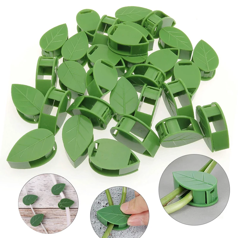1-50 قطعة جهاز تسلق الجدار الن - مراجعة Vine Climbing Plastic وسعره