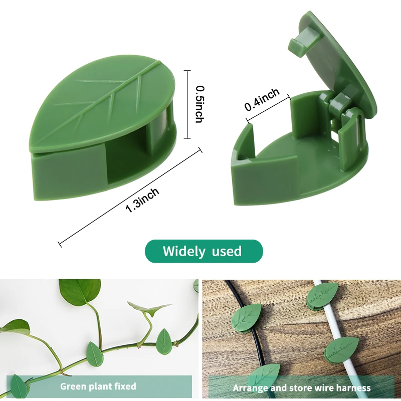 1-50 قطعة جهاز تسلق الجدار الن - مراجعة Vine Climbing Plastic وسعره