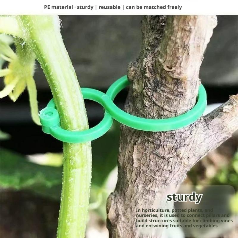 100 قطعة من مشابك دعم النباتات - مراجعة Vine Climbing Plastic وسعره