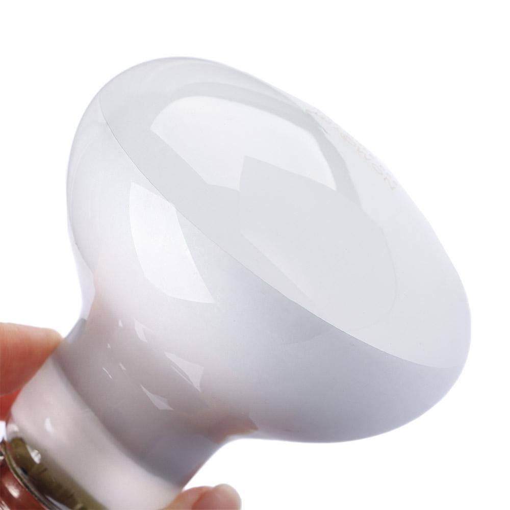 جهاز تحكم في درجة حرارة السخان - مراجعة Basking Bulb Halogen وسعره