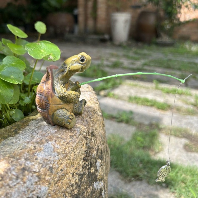 السلاحف الصيد خزان الأسماك حوض - مراجعة Water Dish Reptile وسعره