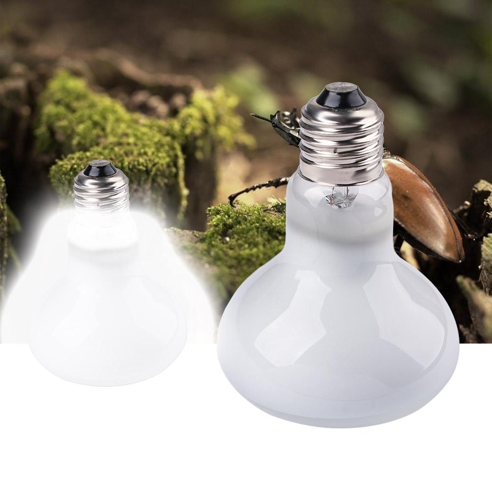 جهاز تحكم في درجة حرارة الزواح - مراجعة Basking Bulb Halogen وسعره