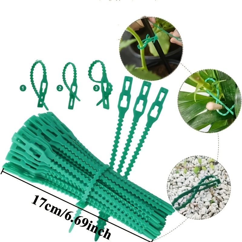 100 قطعة من روابط النباتات الق - مراجعة Vine Climbing Plastic وسعره