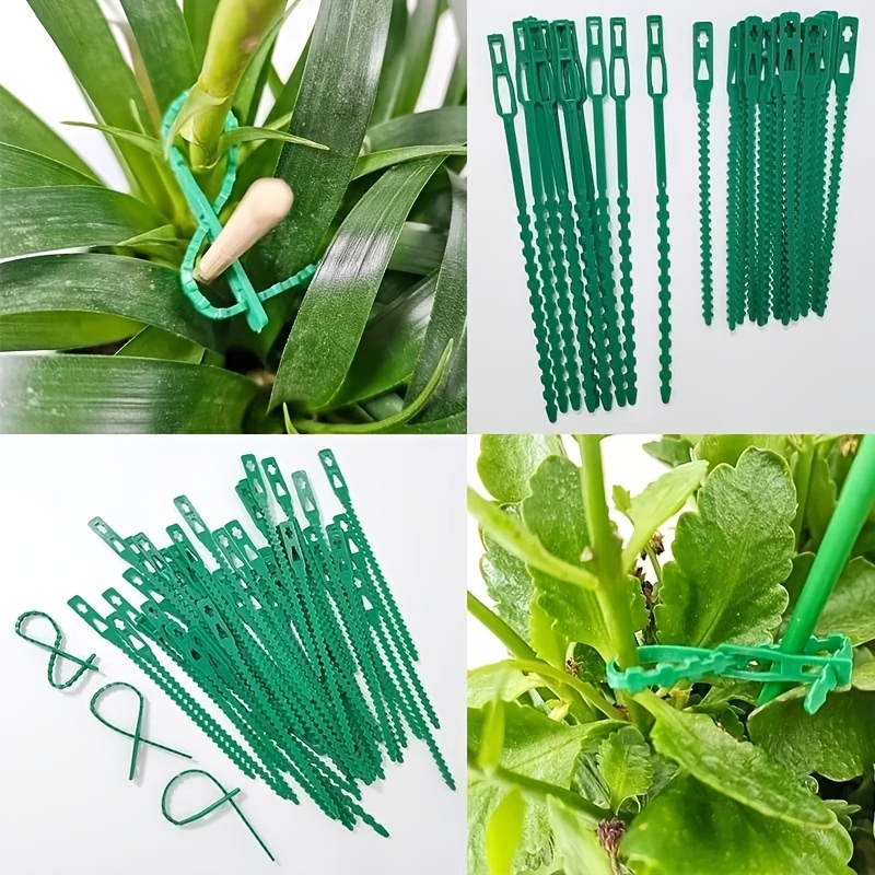 100 قطعة من روابط النباتات الق - مراجعة Vine Climbing Plastic وسعره