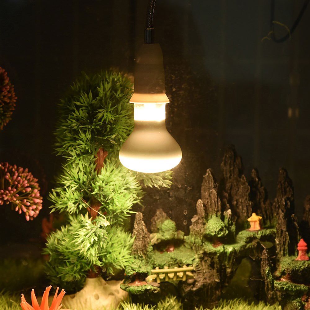 مصباح حراري للبرمائيات، مصباح  - مراجعة Basking Bulb Halogen وسعره