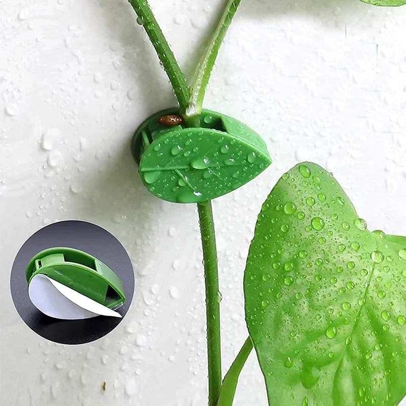 10-90 قطعة مشبك تثبيت النباتات - مراجعة Vine Climbing Plastic وسعره