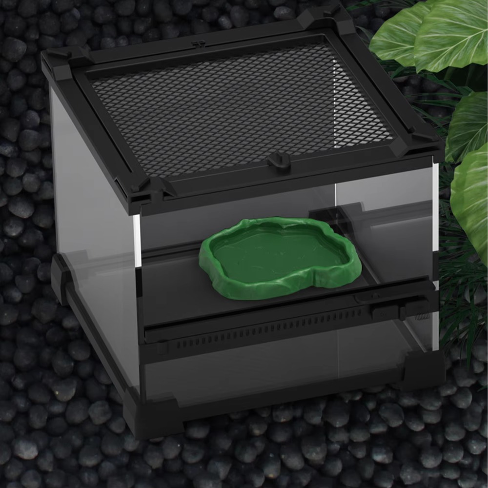 وعاء تغذية جديد للزواحف من رات - مراجعة Water Dish Reptile وسعره