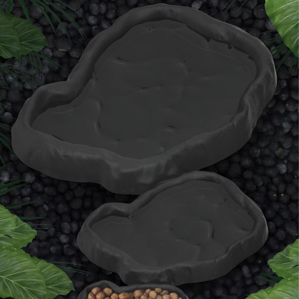 وعاء تغذية جديد للزواحف من رات - مراجعة Water Dish Reptile وسعره