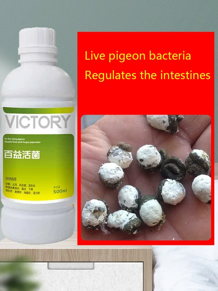 500 مللي لحم حمامة سباق حمامة  - مراجعة Vitamin D3 Reptile وسعره