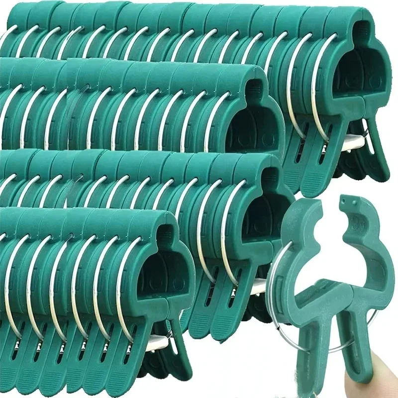 مقاطع ثابتة للنباتات قابلة لإع - مراجعة Vine Climbing Plastic وسعره