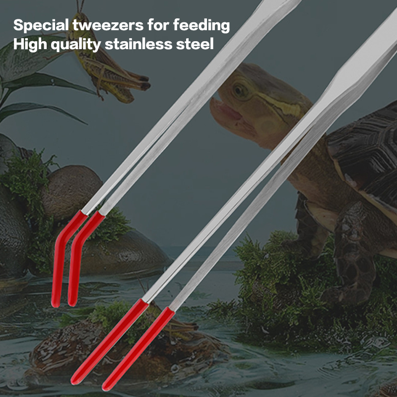 أدوات صيانة أحواض الأسماك من ا - مراجعة Feeding Tong Stainless وسعره