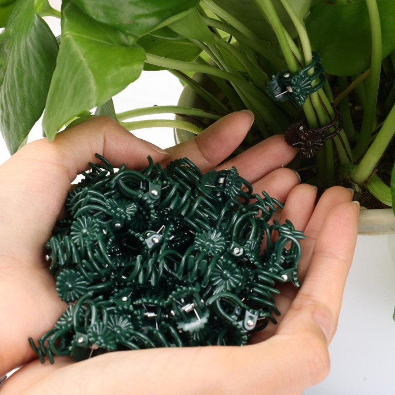مشابك دعم النباتات الصغيرة بال - مراجعة Vine Climbing Plastic وسعره