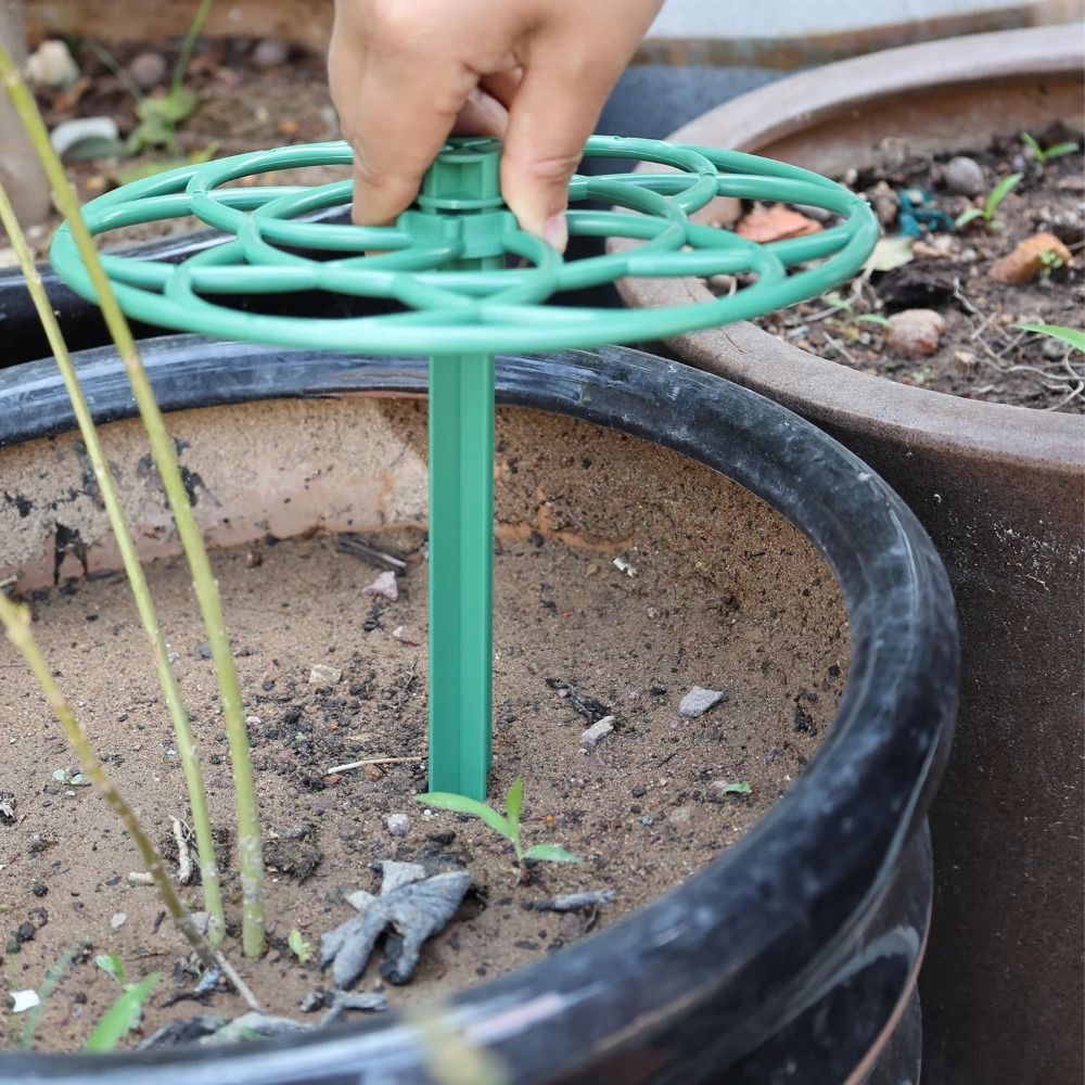 إطار تسلق متين للنباتات الصغير - مراجعة Vine Climbing Plastic وسعره
