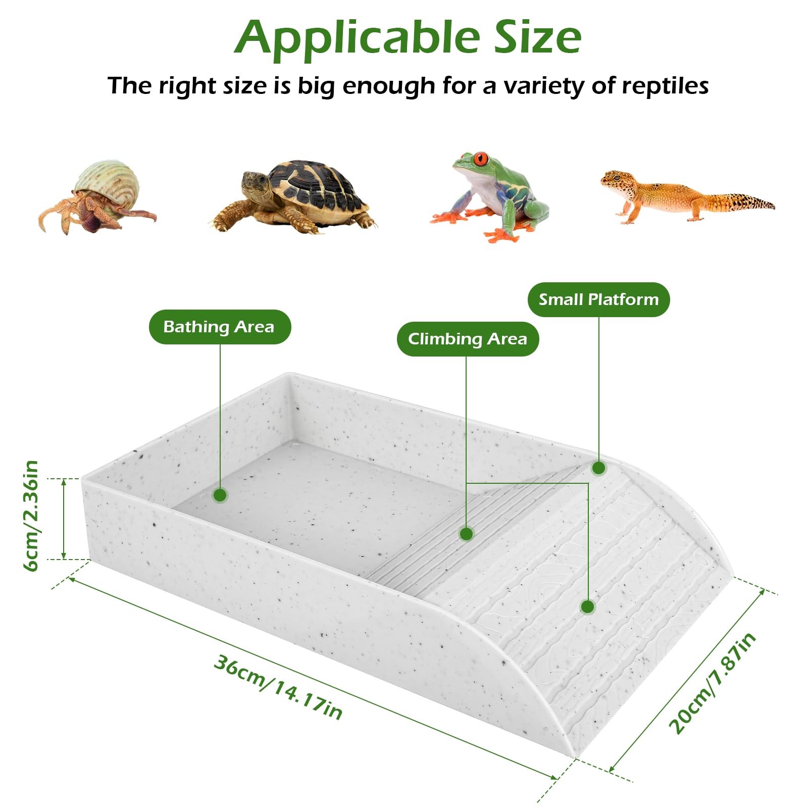 طبق حمام السلحفاة المضاد للانز - مراجعة Water Dish Reptile وسعره
