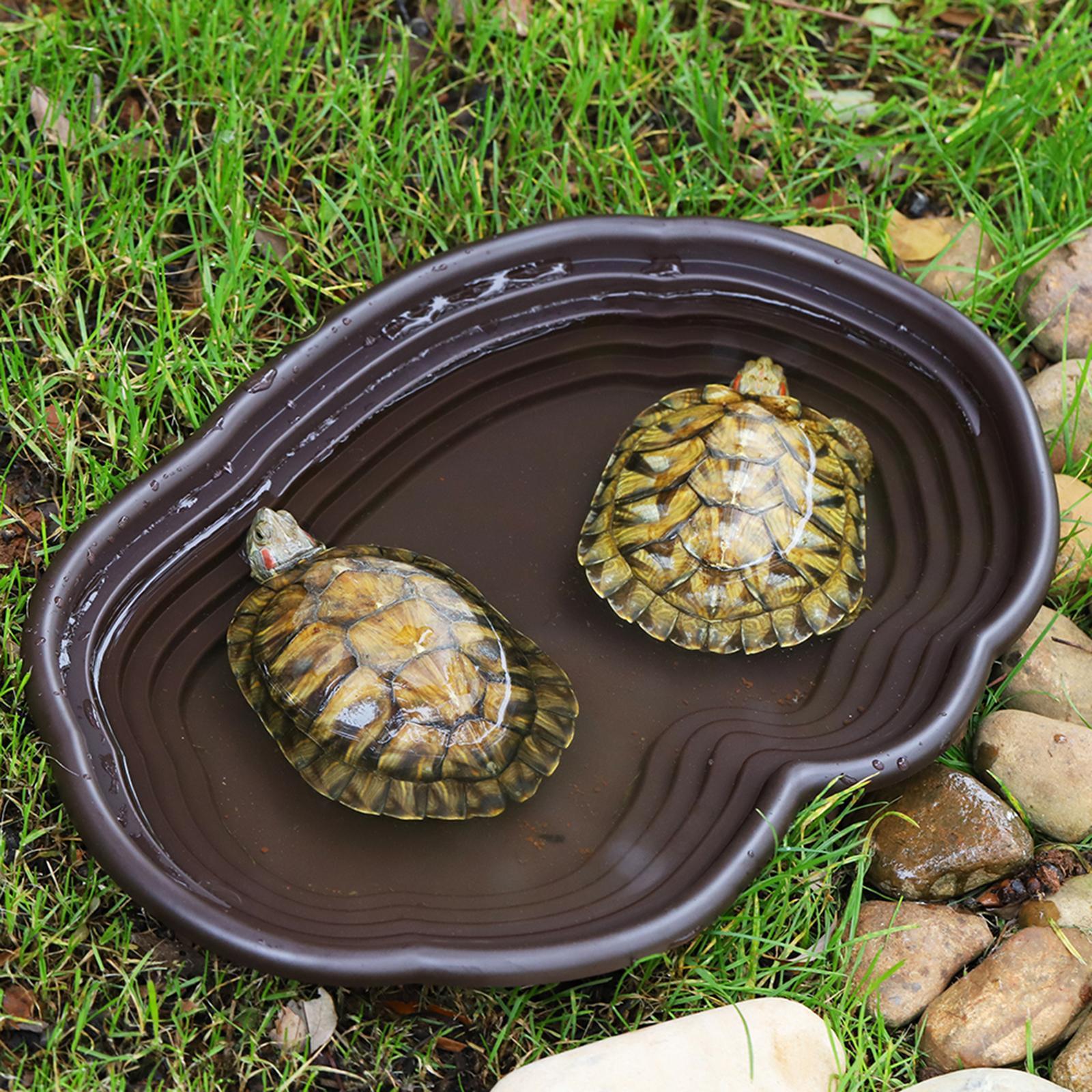 طبق استحمام للزواحف طبق تغذية  - مراجعة Water Dish Reptile وسعره