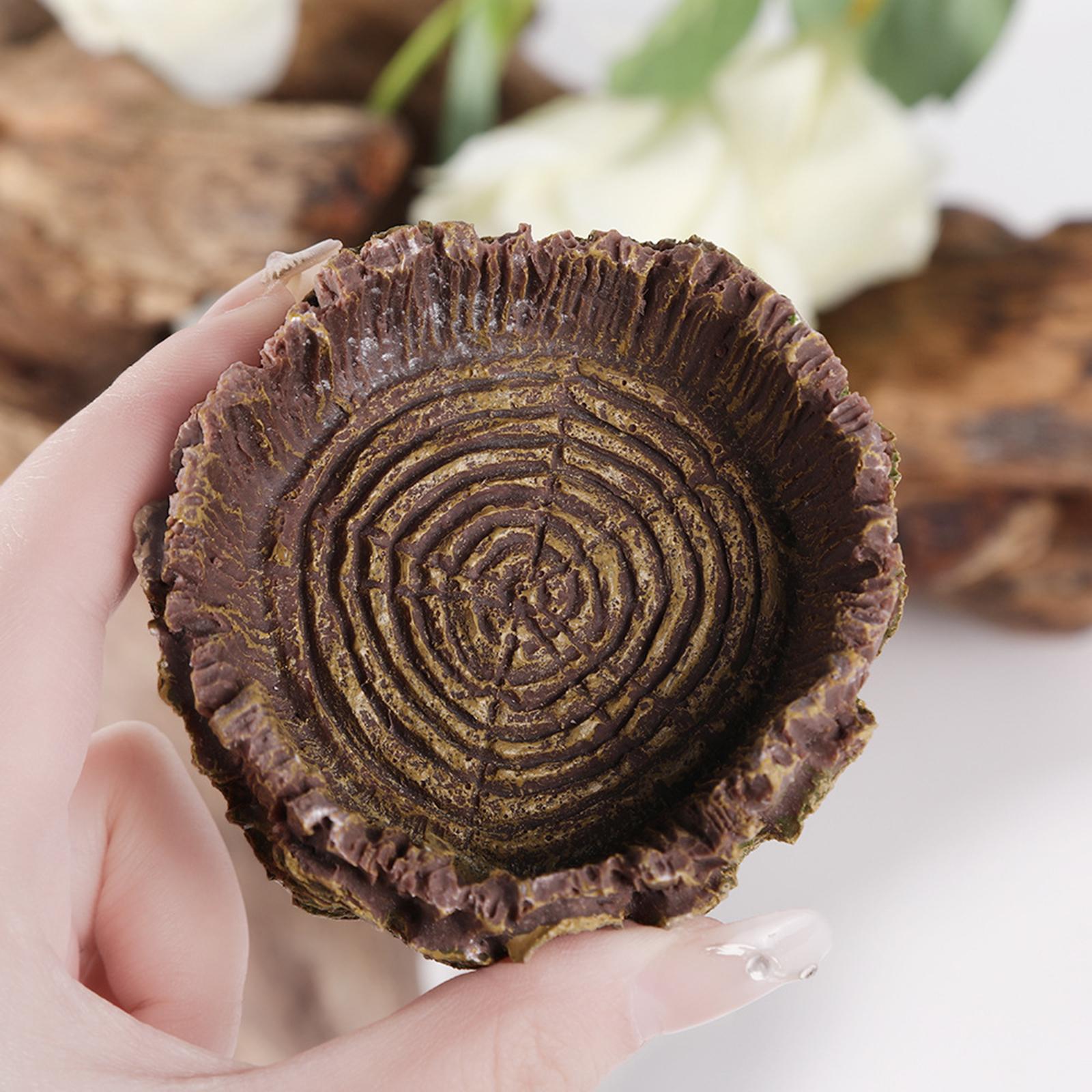 طبق استحمام للزواحف طبق تغذية  - مراجعة Water Dish Reptile وسعره