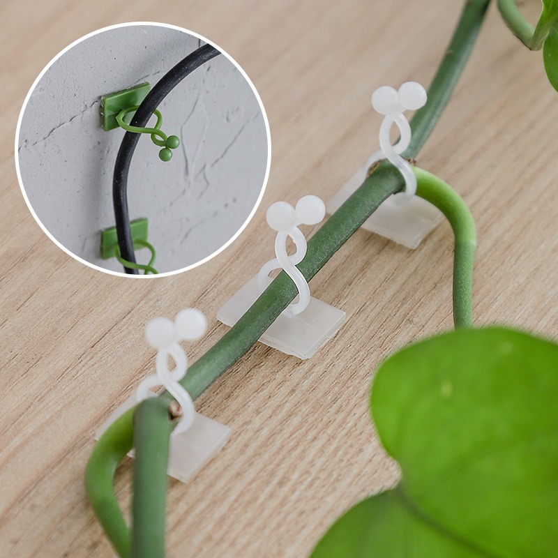 10 قطع من خطافات تثبيت النباتا - مراجعة Vine Climbing Plastic وسعره