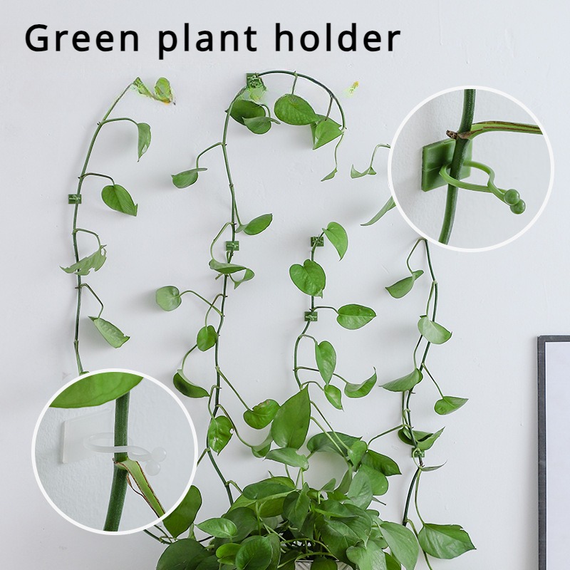 10 قطع من خطافات تثبيت النباتا - مراجعة Vine Climbing Plastic وسعره