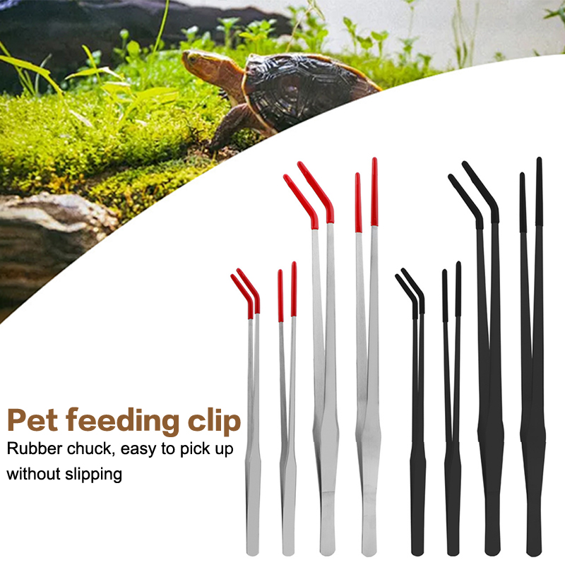 ملقط تغذية للزواحف من الفولاذ  - مراجعة Feeding Tong Stainless وسعره