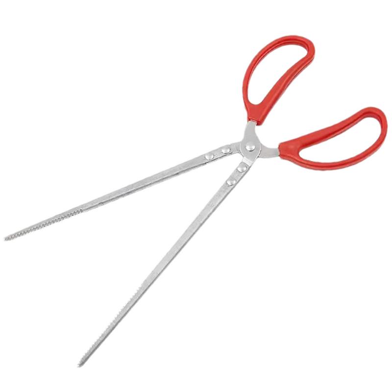 ملقط تغذية الزواحف من الفولاذ  - مراجعة Feeding Tong Stainless وسعره