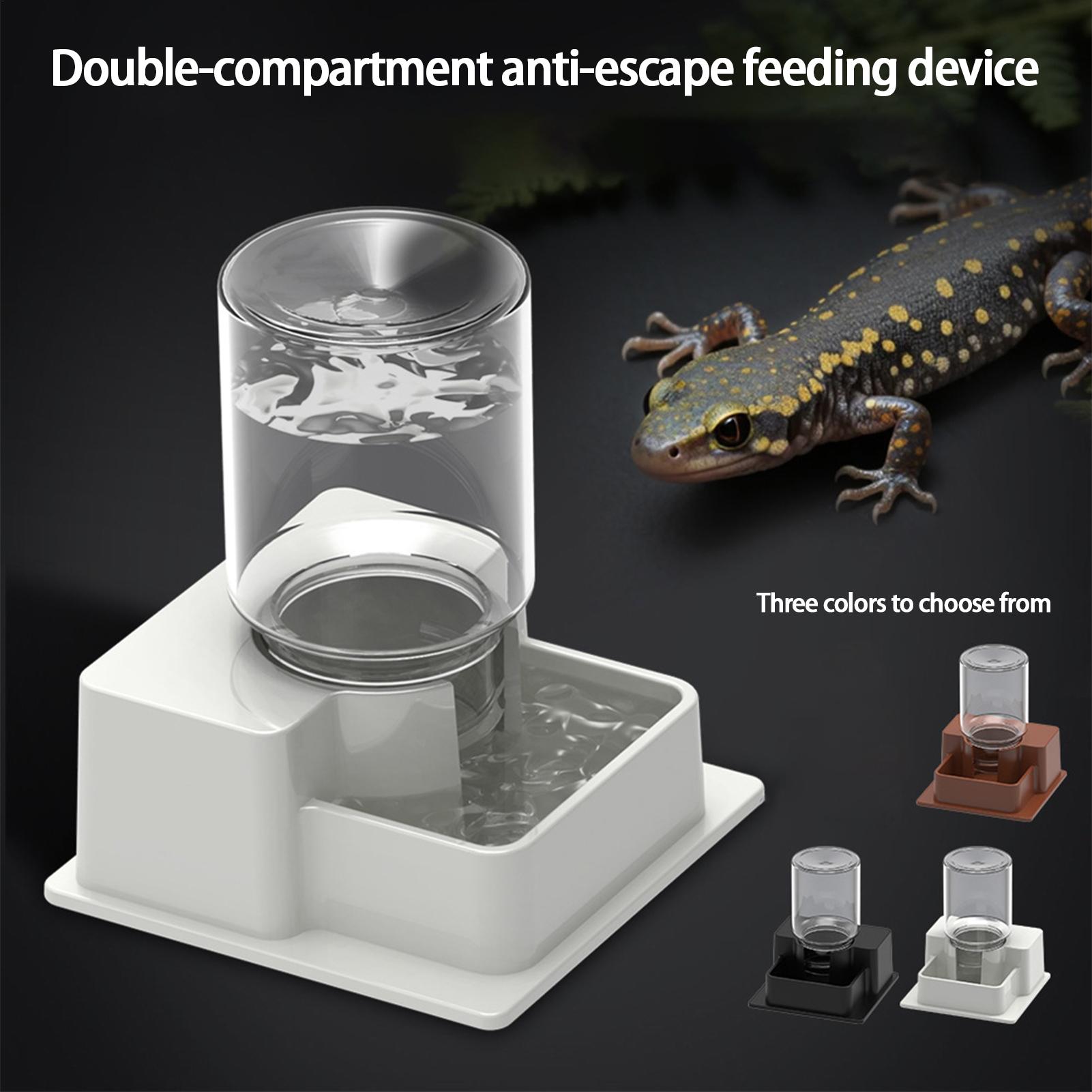 وعاء ماء أوتوماتيكي للزواحف، ح - مراجعة Water Dish Reptile وسعره