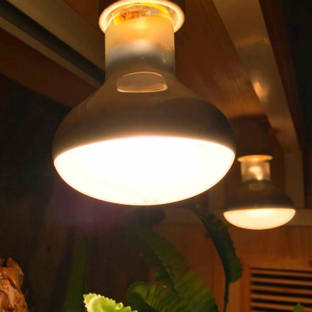 جهاز تحكم في درجة حرارة السلاح - مراجعة Basking Bulb Halogen وسعره