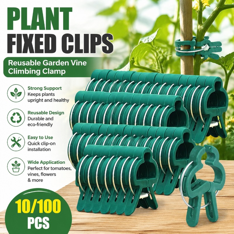 مشابك تثبيت النباتات قابلة لإع - مراجعة Vine Climbing Plastic وسعره