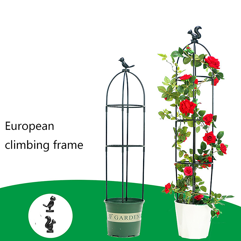 مجموعة واحدة من أقفاص دعم النب - مراجعة Vine Climbing Plastic وسعره