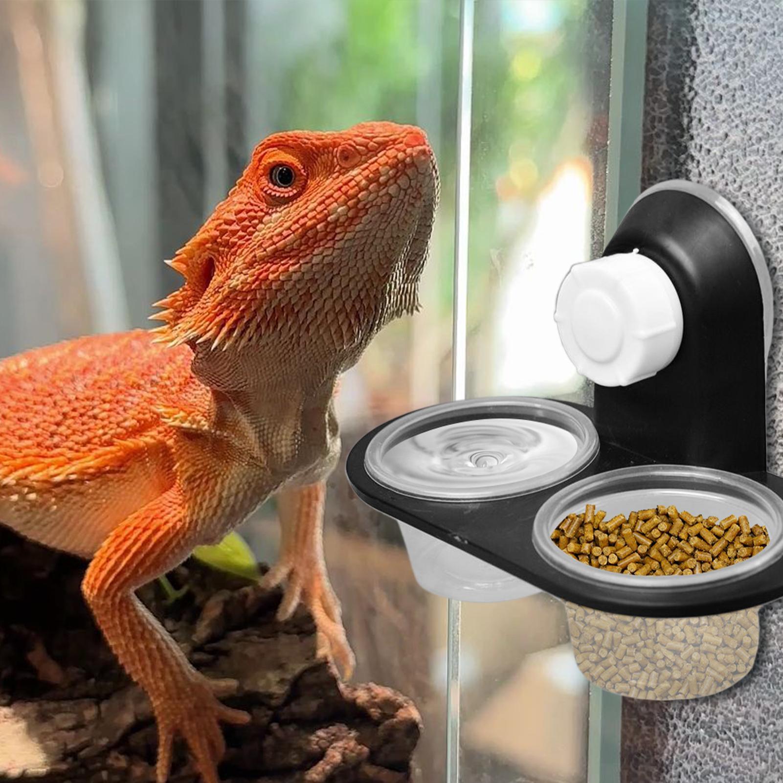 طبق طعام وجهاز توزيع مياه للمن - مراجعة Water Dish Reptile وسعره