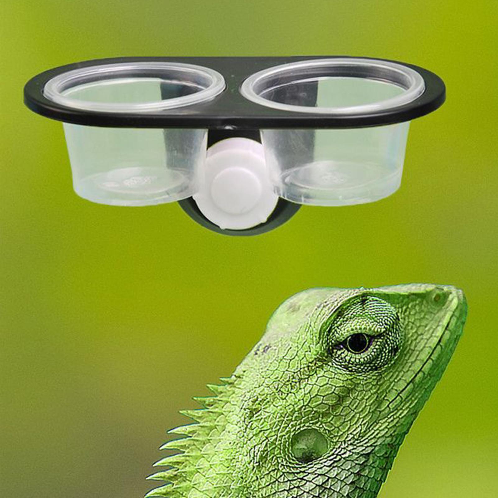 وعاء طعام للجيكو مع أكواب تغذي - مراجعة Water Dish Reptile وسعره