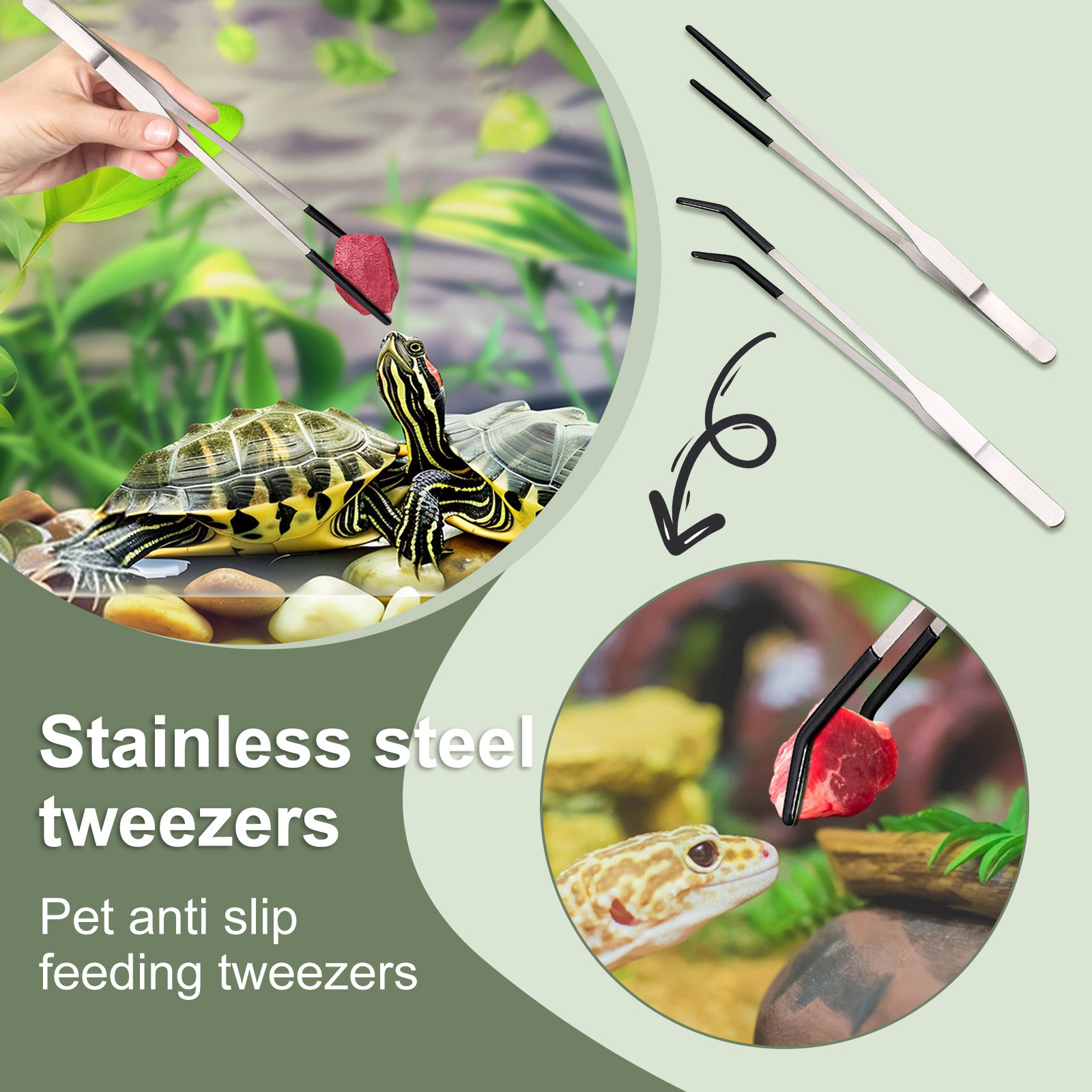 ملاقط طويلة لتغذية الزواحف من  - مراجعة Feeding Tong Stainless وسعره