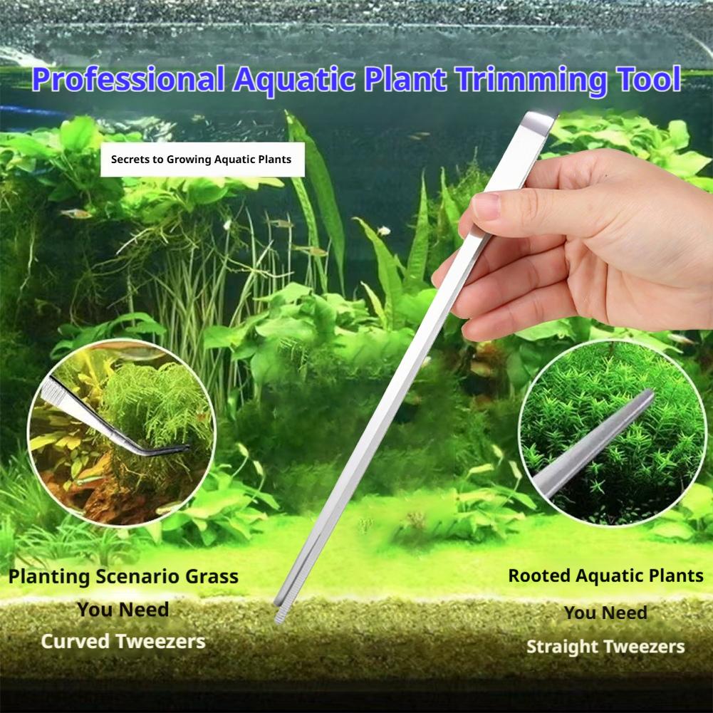 ملقط حوض السمك من الفولاذ المق - مراجعة Feeding Tong Stainless وسعره