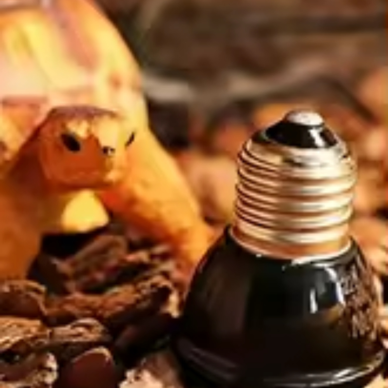 مصباح حراري سيراميكي صغير أسود - مراجعة Ceramic Heat Emitter وسعره