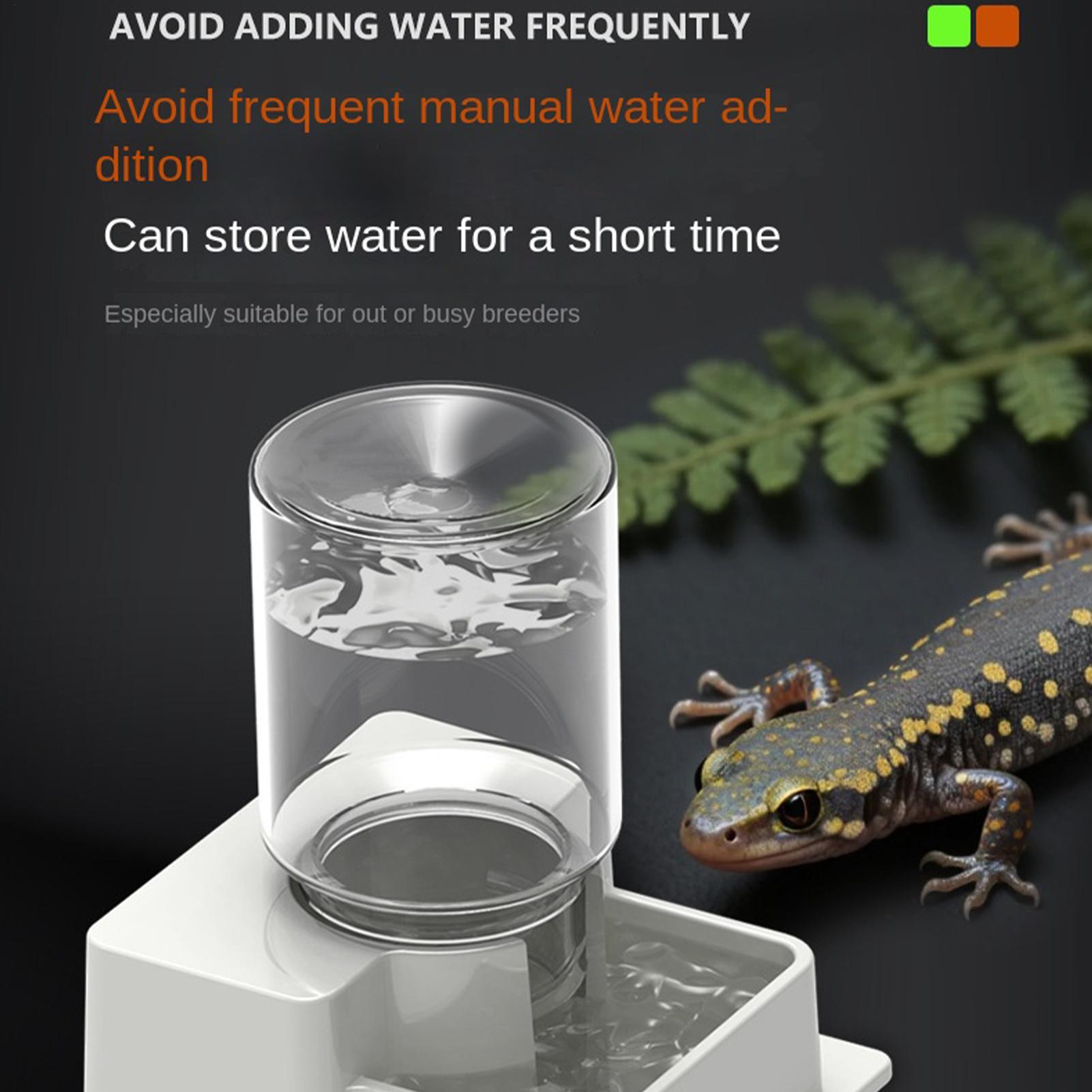نافورة مياه أوتوماتيكية للتنين - مراجعة Water Dish Reptile وسعره