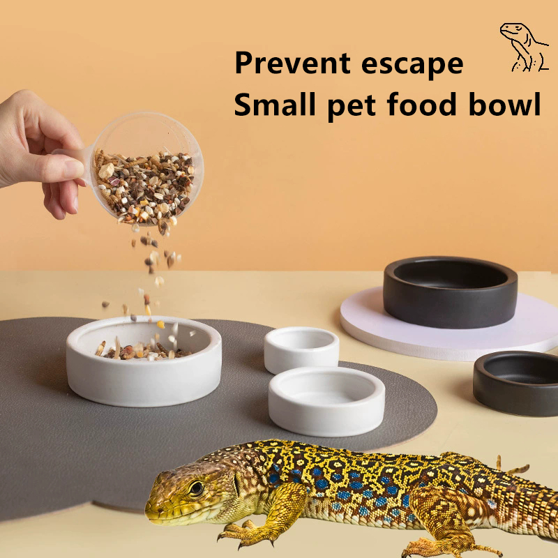 رائج! وعاء طعام للزواحف مضاد ل - مراجعة Water Dish Reptile وسعره