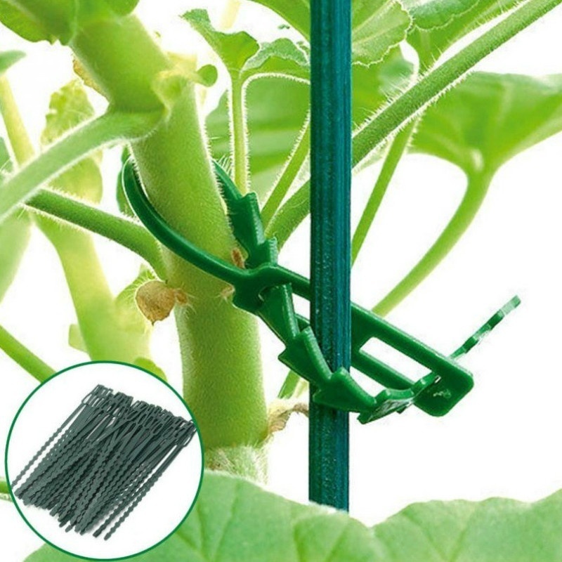 50 قطعة من مشابك النباتات البل - مراجعة Vine Climbing Plastic وسعره