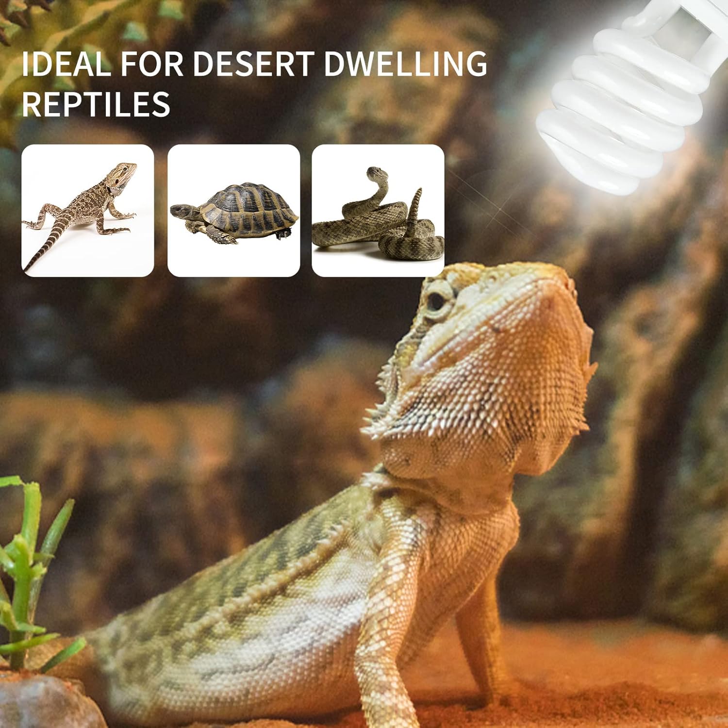 UVB 5.0 10.0 مصباح تدفئة الزوا - مراجعة Calcium Powder Reptile وسعره